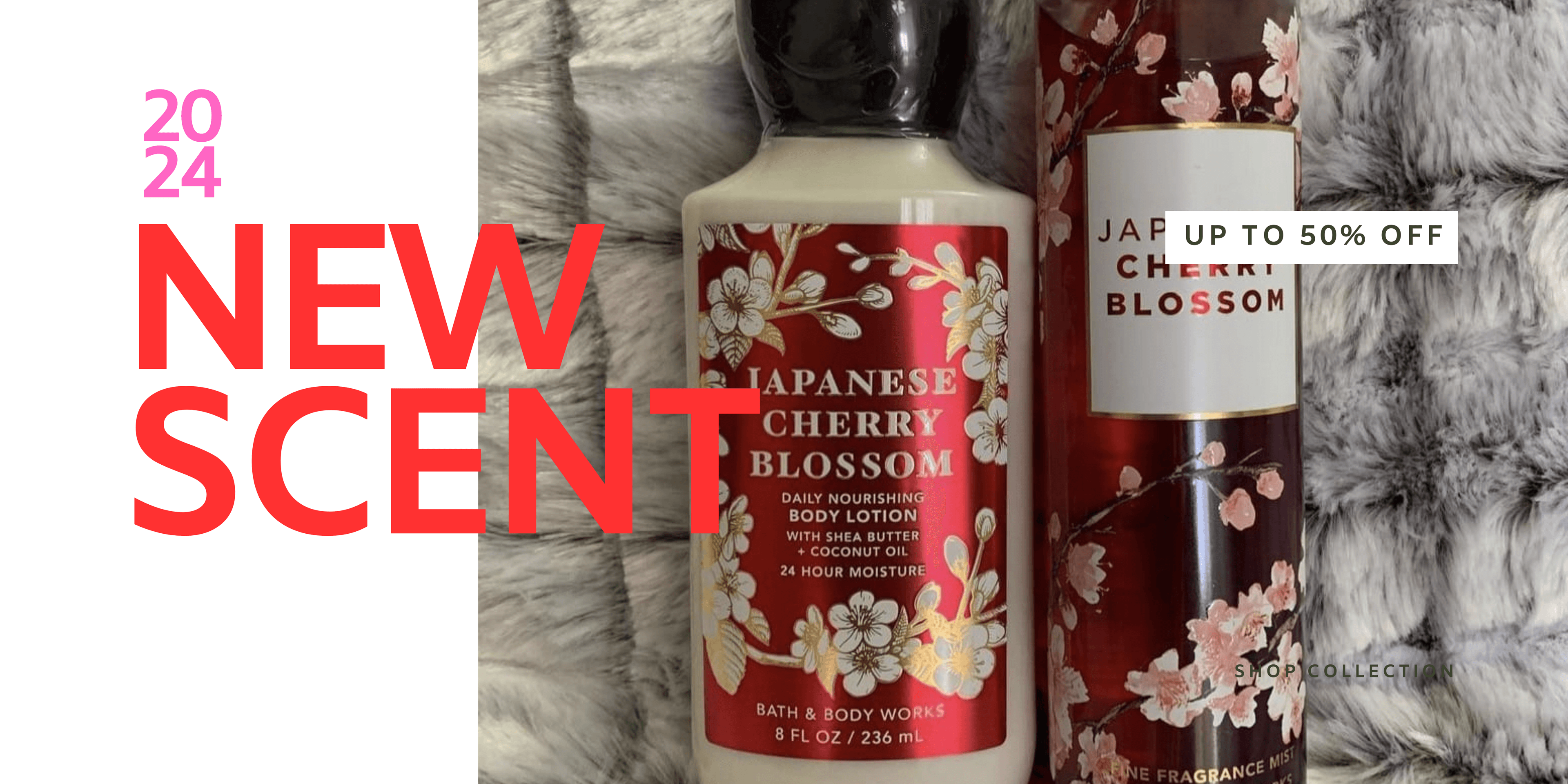 Japanese Cherry Blossom